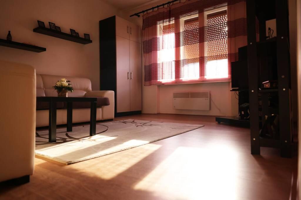 Viki Apartment Centar Ni 外观 照片