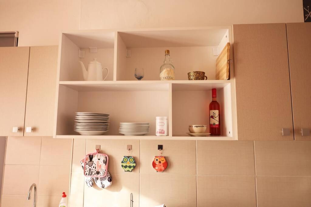 Viki Apartment Centar Ni 外观 照片